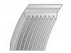 V-Ribbed Belt:PQS500450