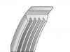 V-Ribbed Belt:5PK1165